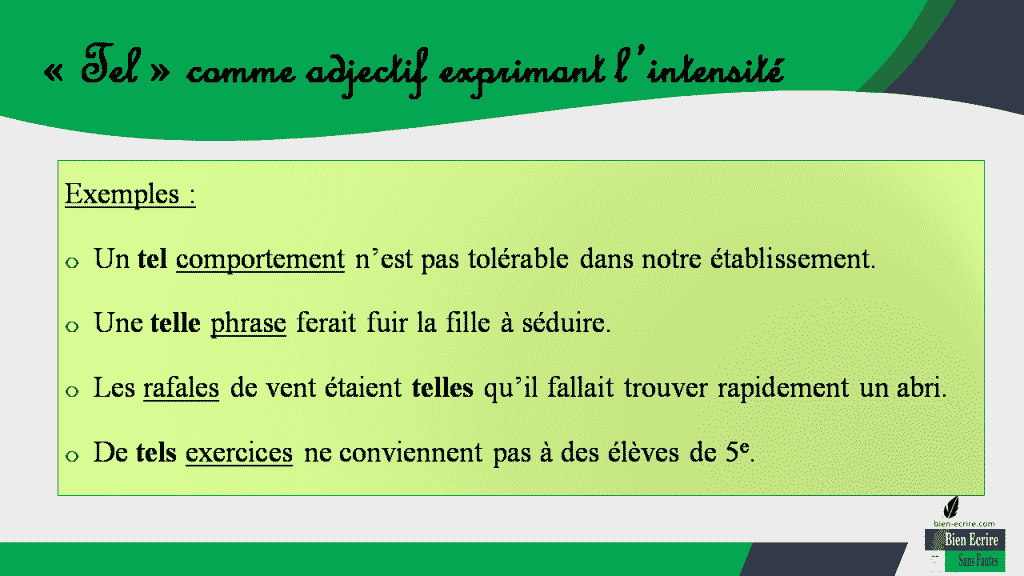 Signification et accord de « tel » Bien écrire
