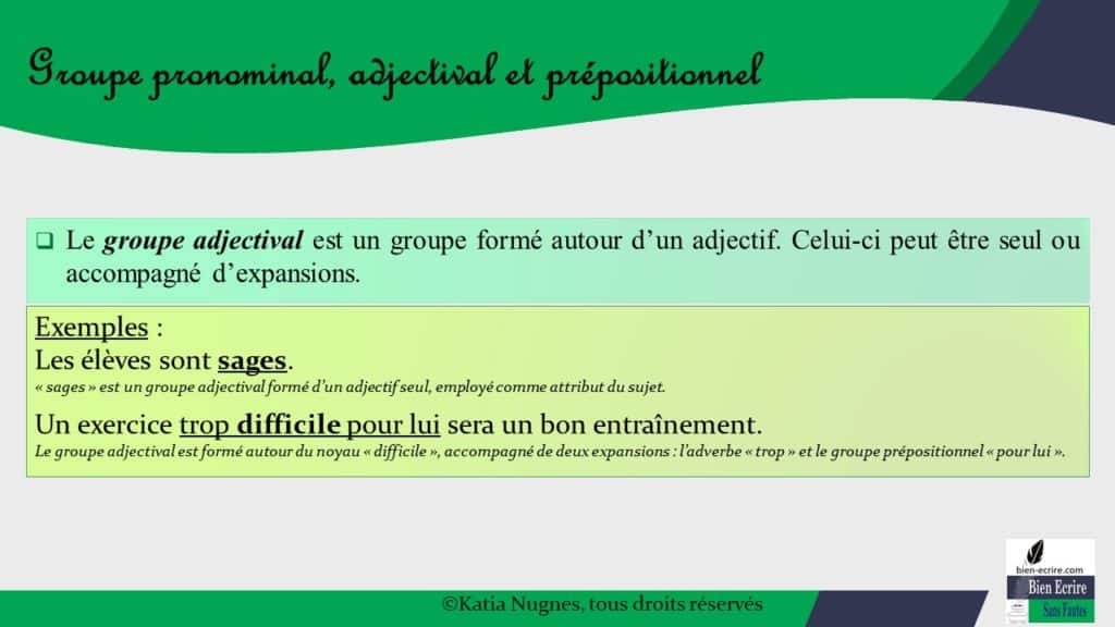 Syntagme 3 Groupe Pronominal Prepositionnel Et Adjectival Bien Ecrire